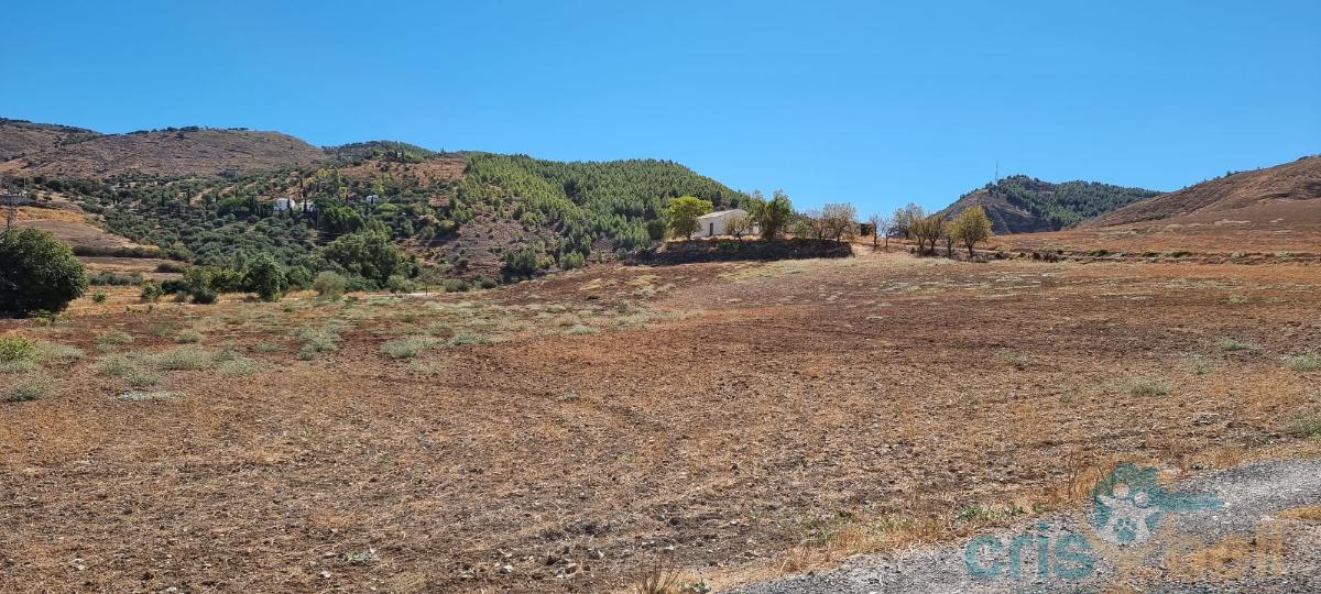 For sale of land in Antequera