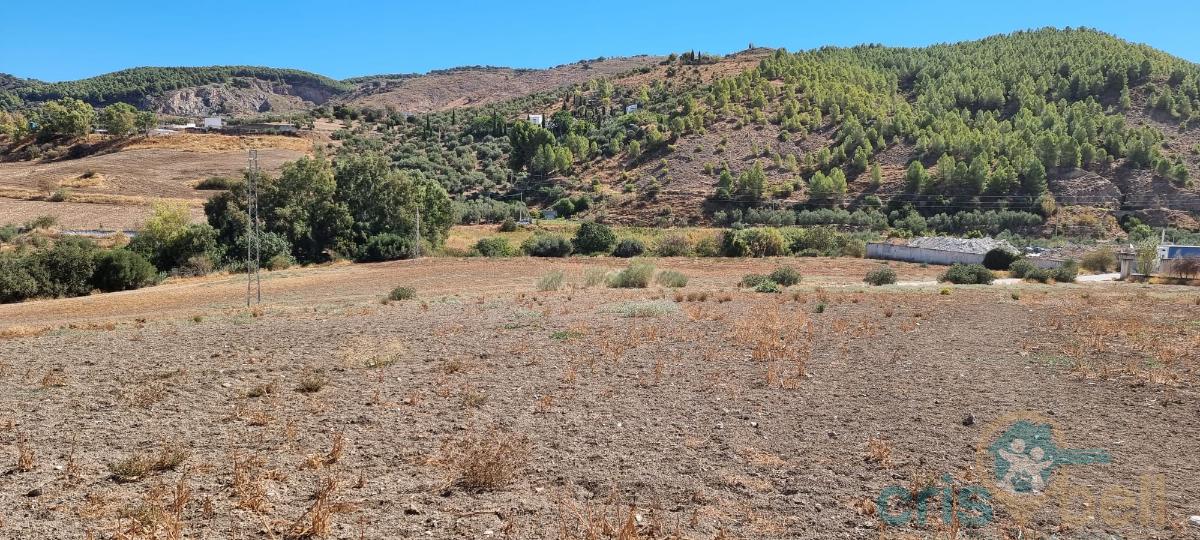 For sale of land in Antequera