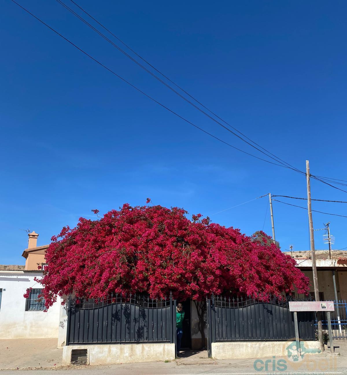 For sale of house in Cuevas del Almanzora