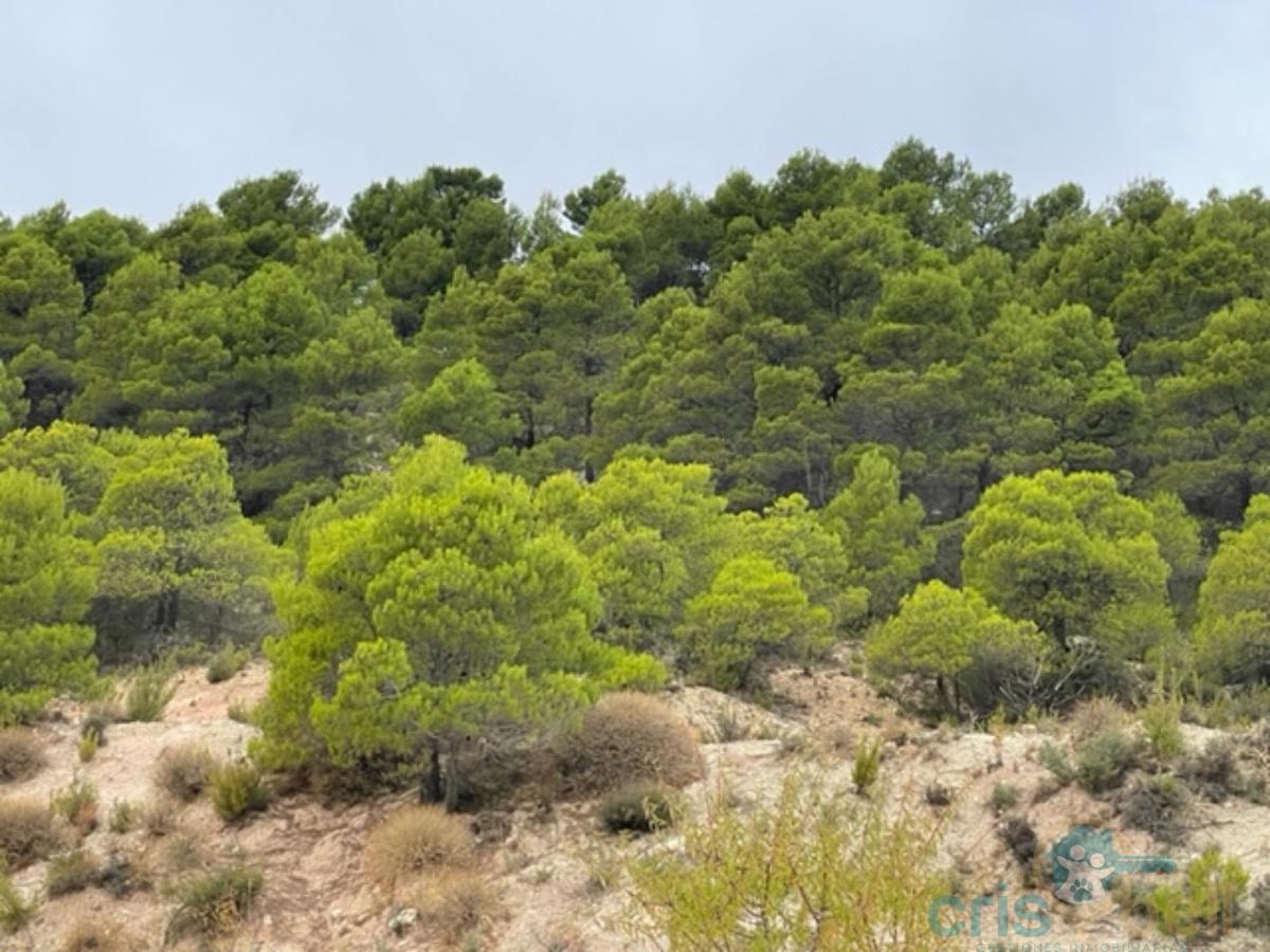 Venta de casa en Lorca