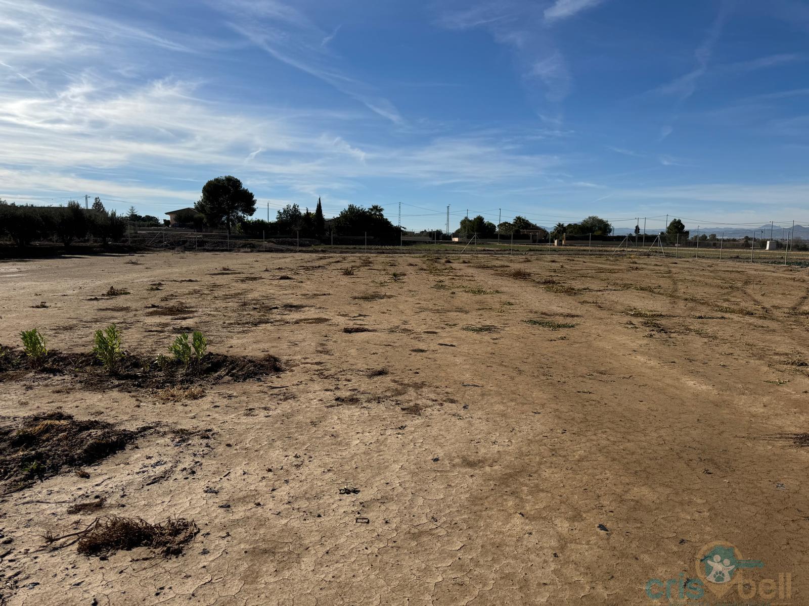 For sale of land in Lorca