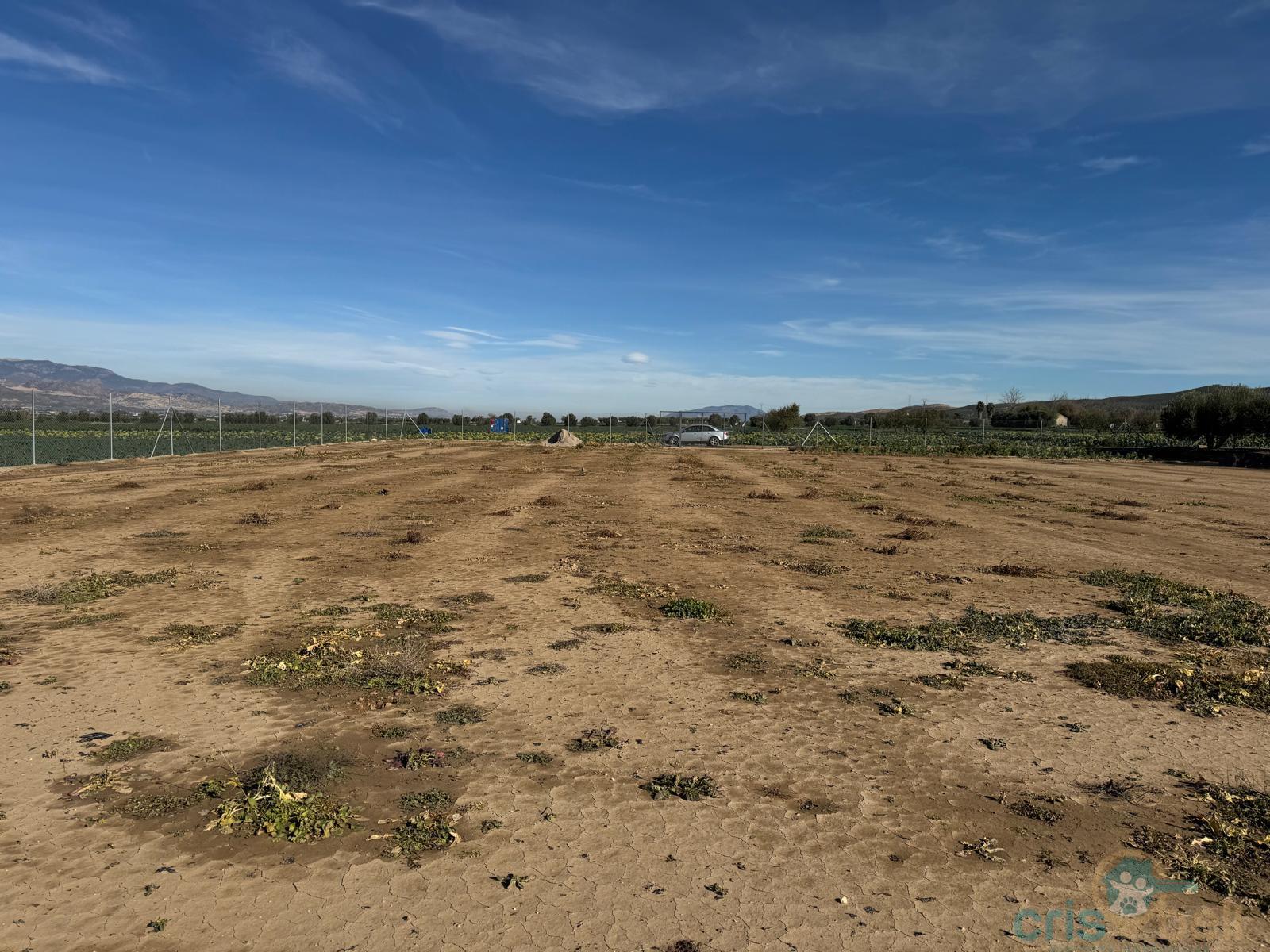 For sale of land in Lorca