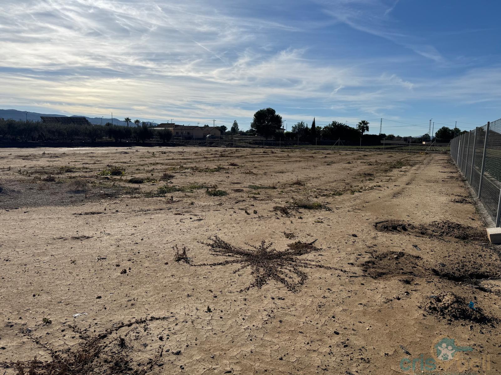 For sale of land in Lorca