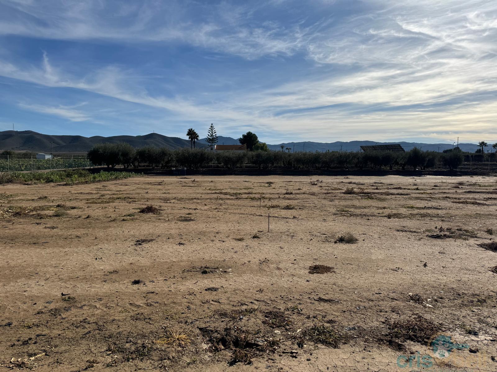 For sale of land in Lorca