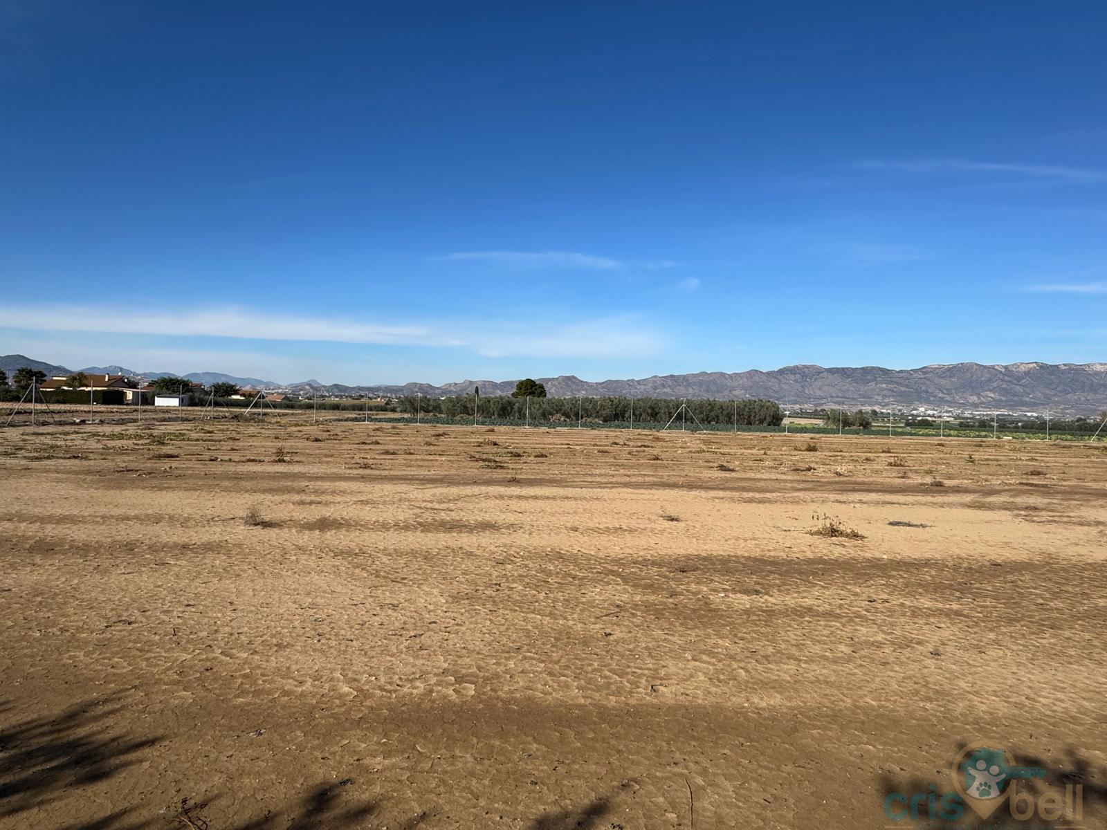 For sale of land in Lorca