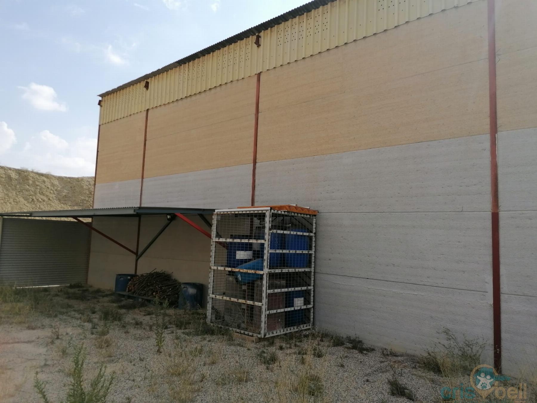 For sale of industrial plant/warehouse in Lorca
