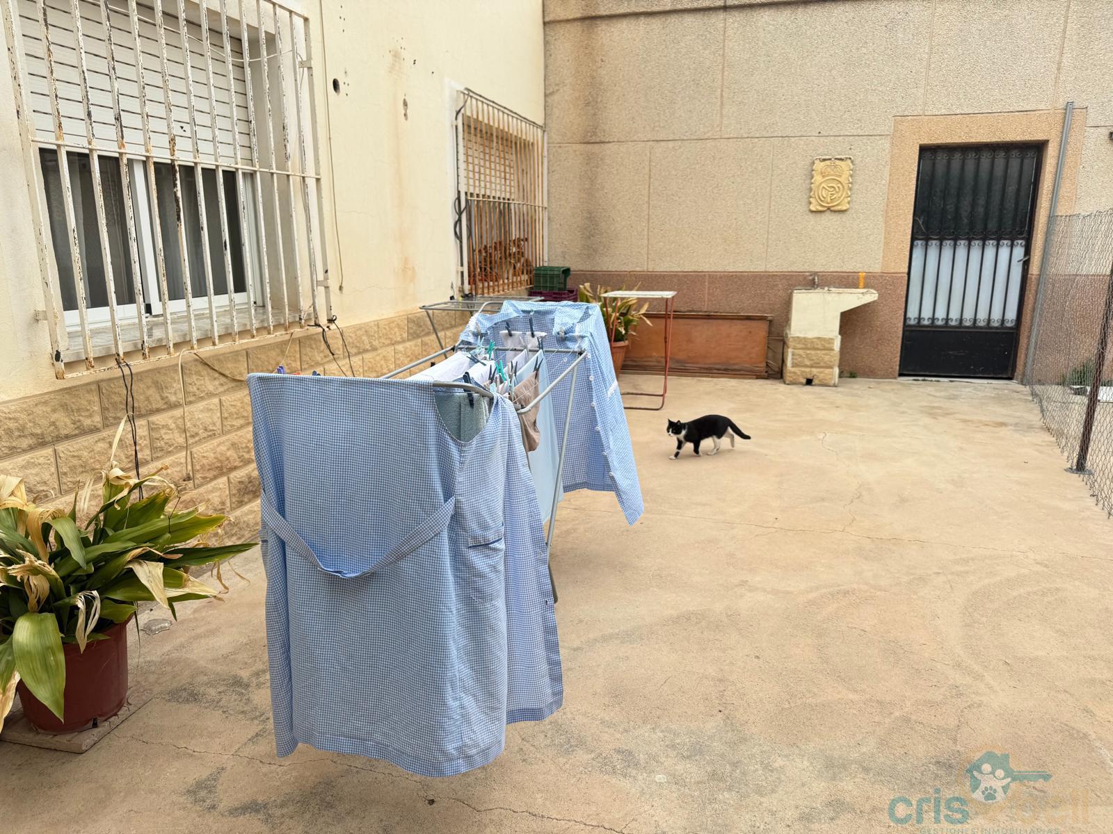 For sale of house in Lorca