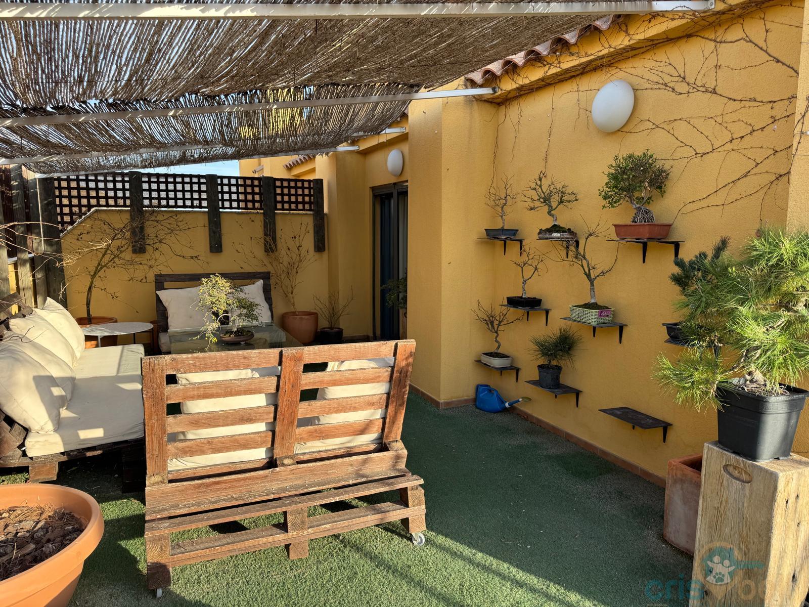 For sale of penthouse in Lorca