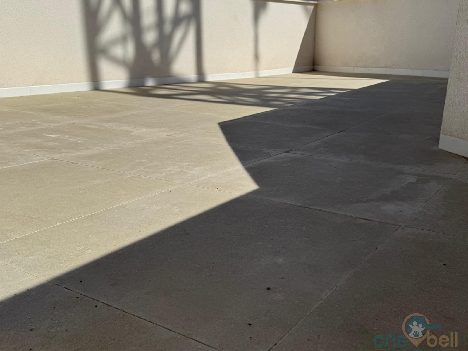 For sale of penthouse in Lorca
