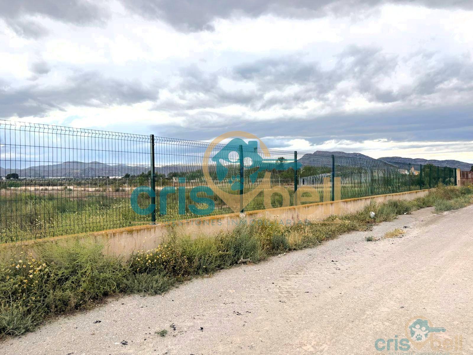 Venta de terreno en Lorca