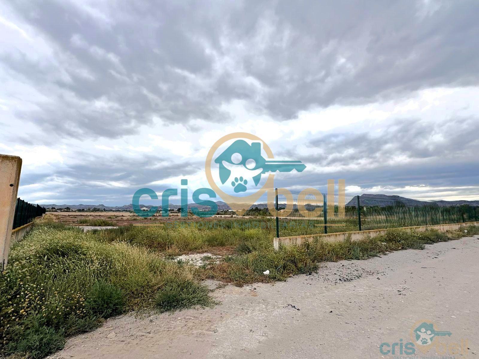 Venta de terreno en Lorca