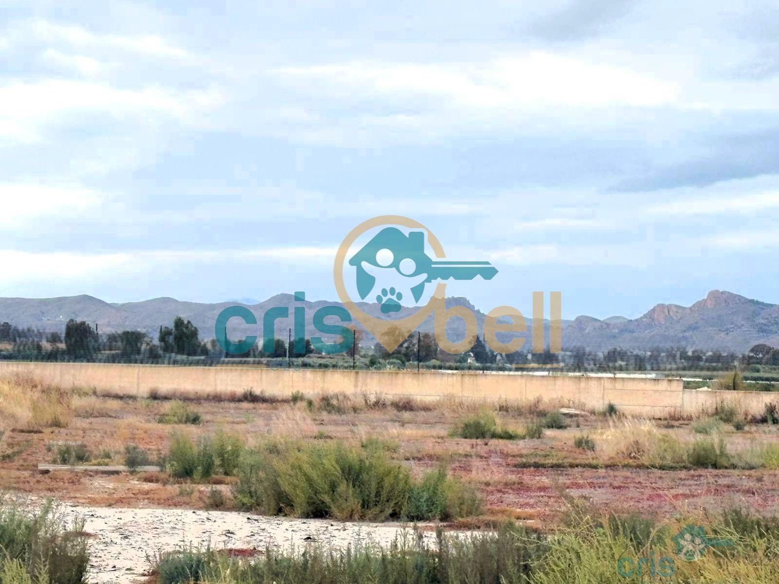 Venta de terreno en Lorca