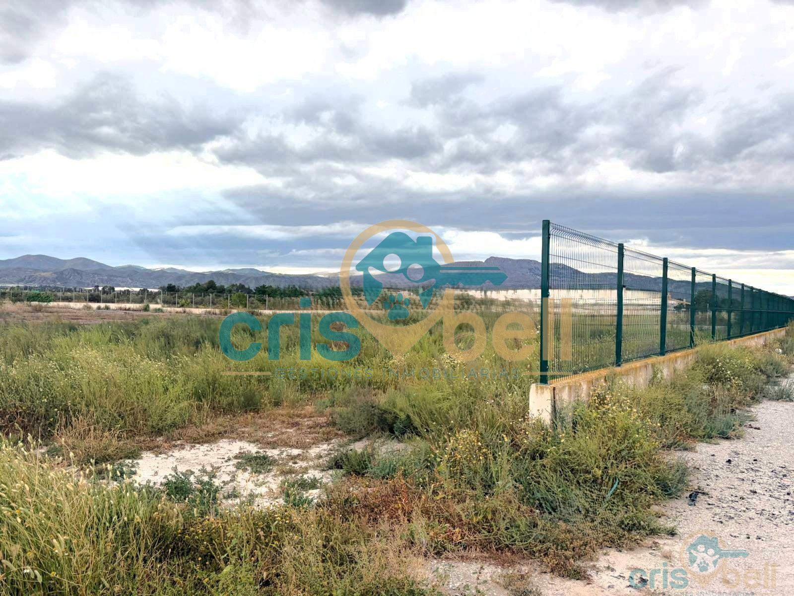 Venta de terreno en Lorca