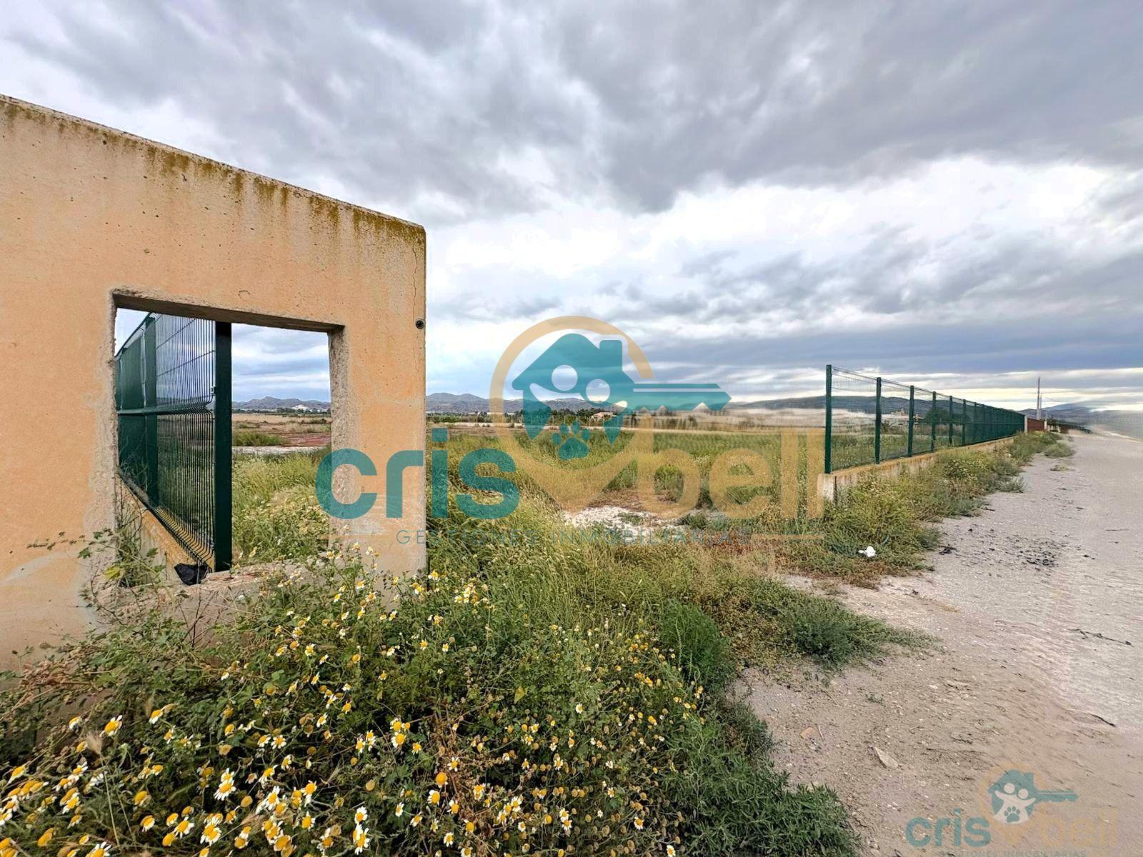 Venta de terreno en Lorca