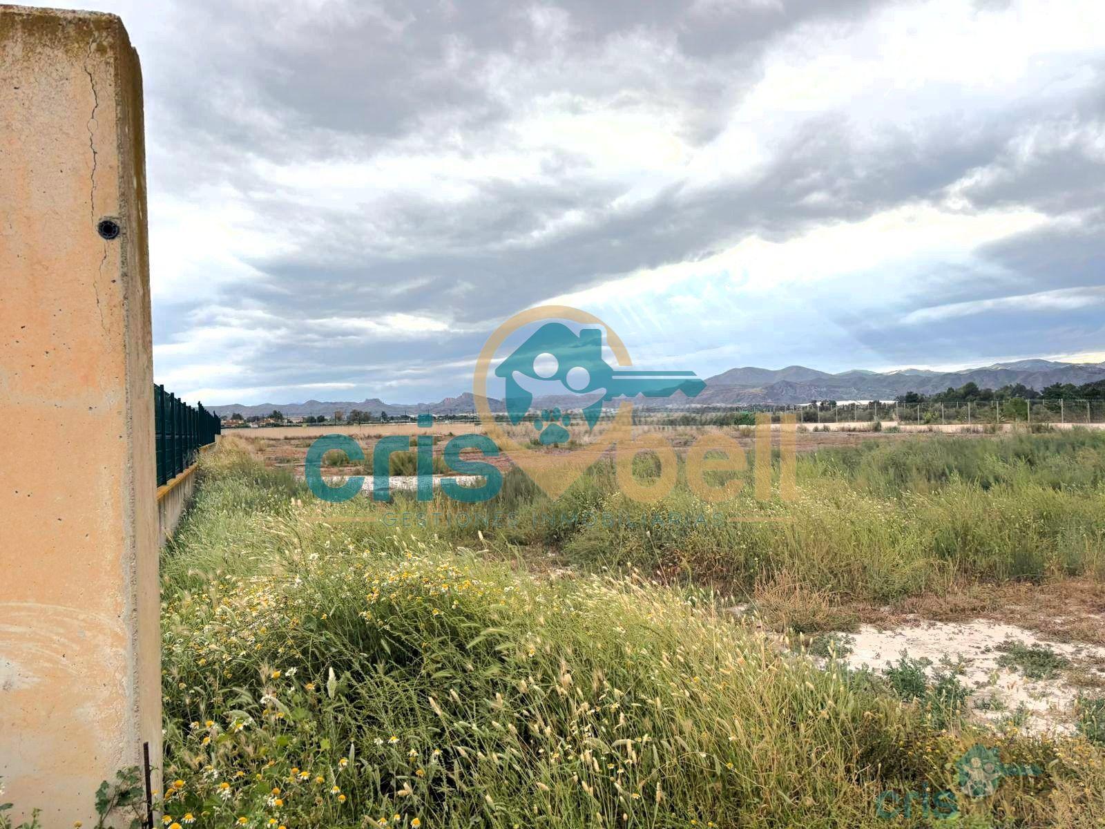 Venta de terreno en Lorca