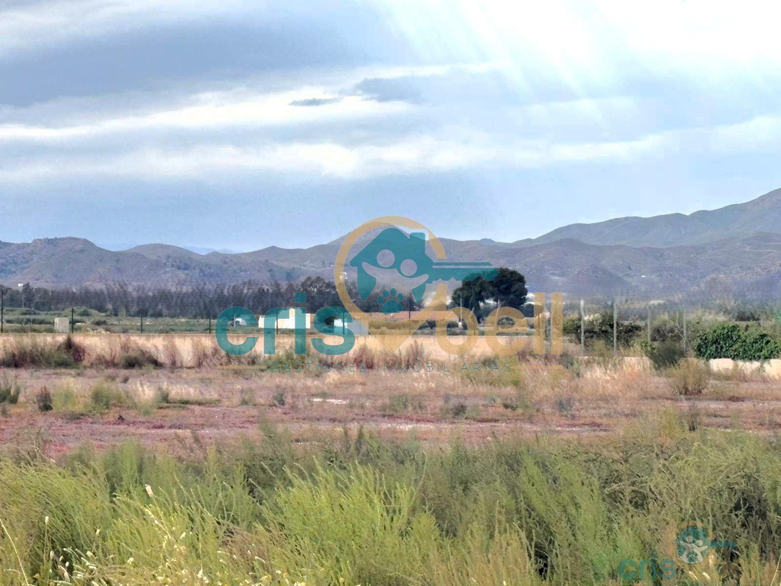 Venta de terreno en Lorca