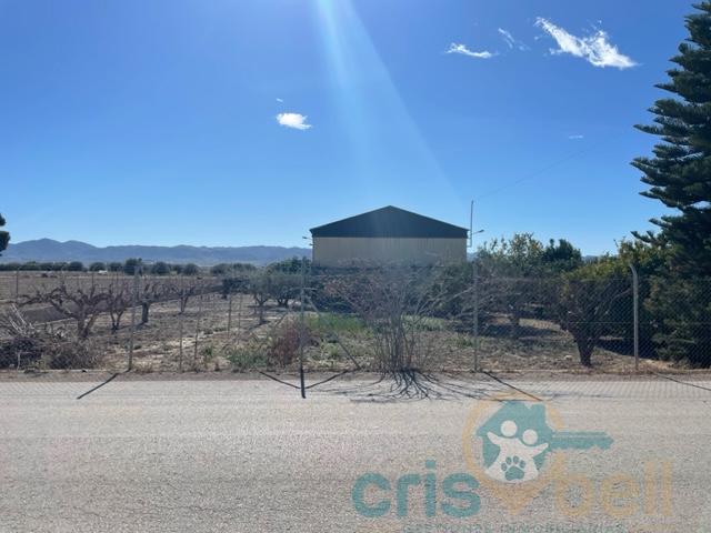 For sale of industrial plant/warehouse in Lorca