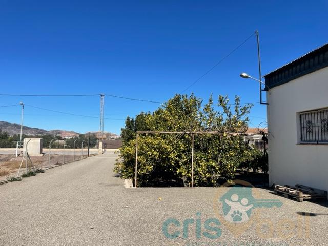 For sale of industrial plant/warehouse in Lorca