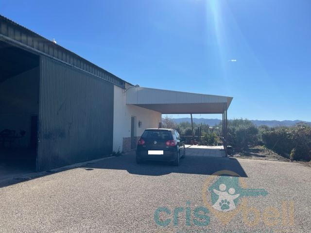 For sale of industrial plant/warehouse in Lorca