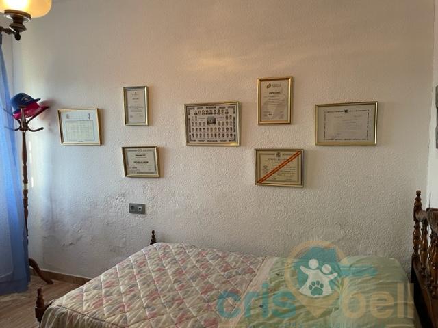For sale of house in Lorca