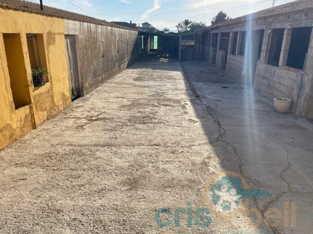 For sale of house in Lorca
