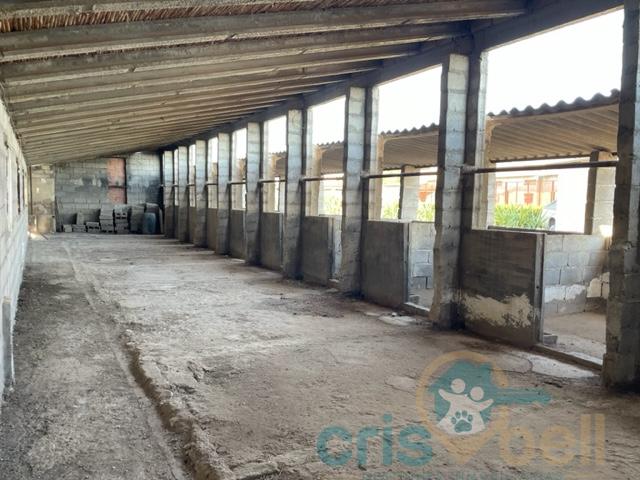 For sale of house in Lorca