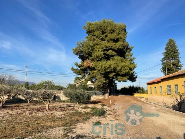 For sale of house in Lorca