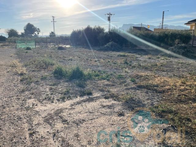 For sale of house in Lorca