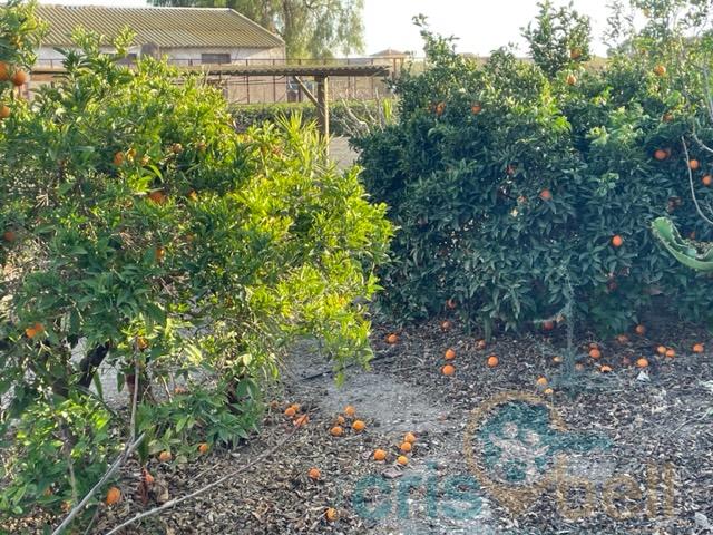For sale of house in Lorca