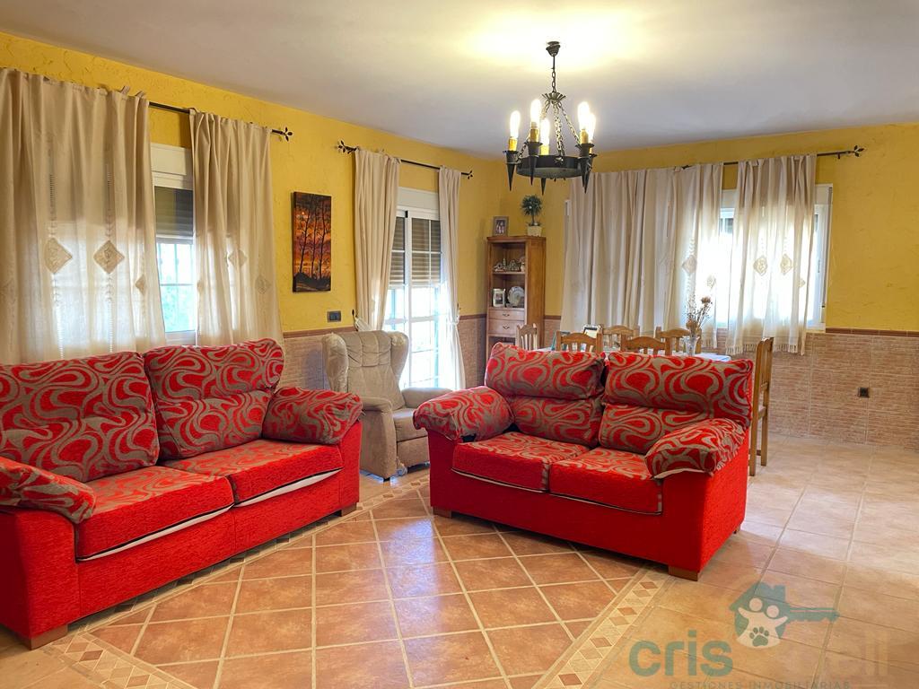 For sale of house in Lorca