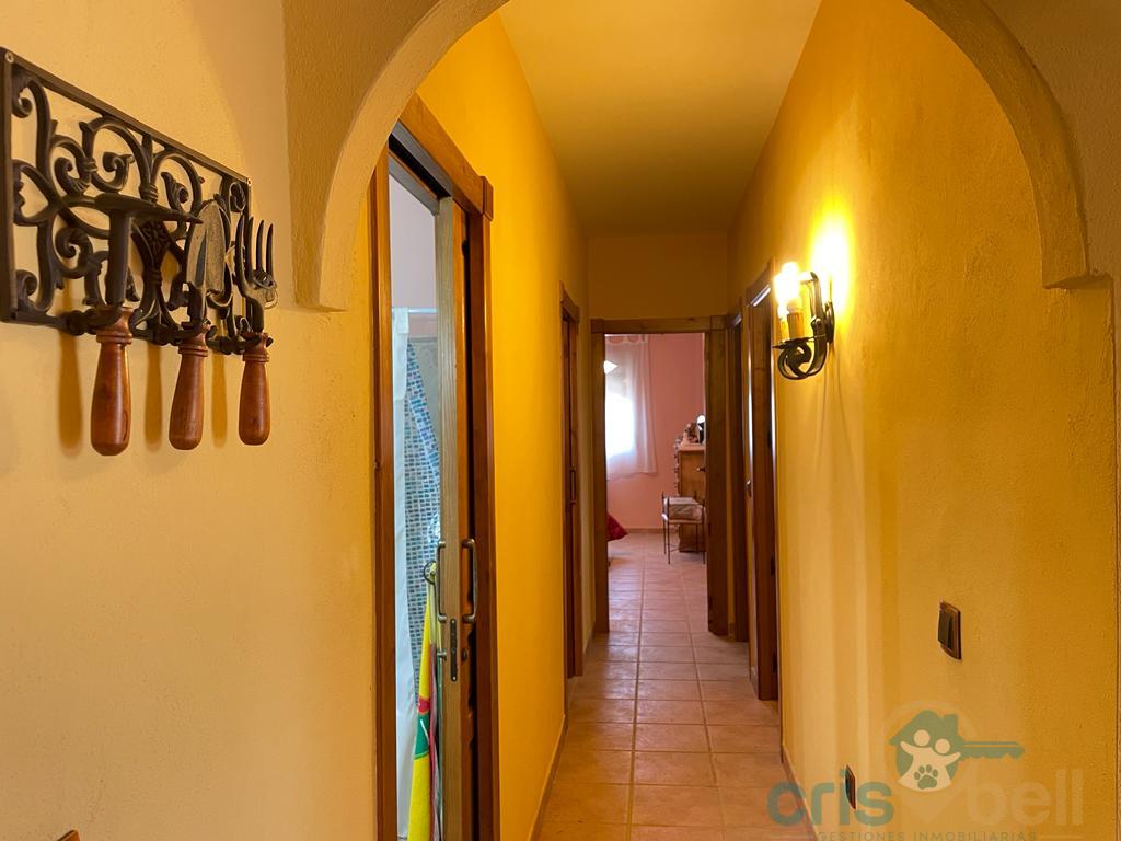 For sale of house in Lorca