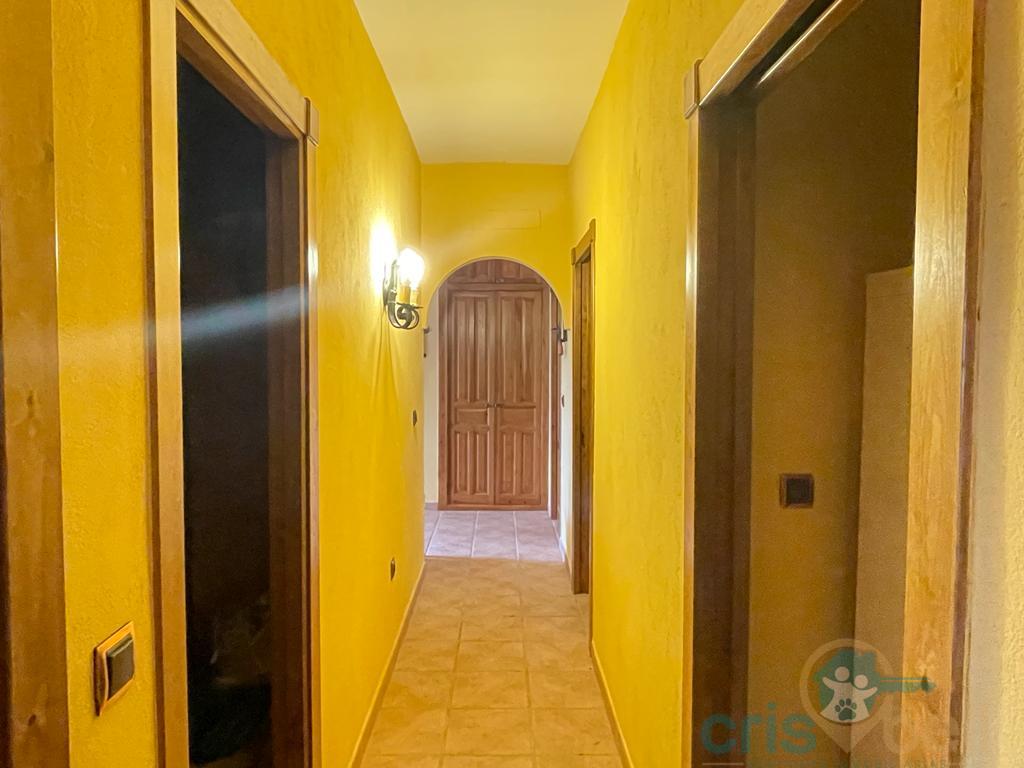 For sale of house in Lorca