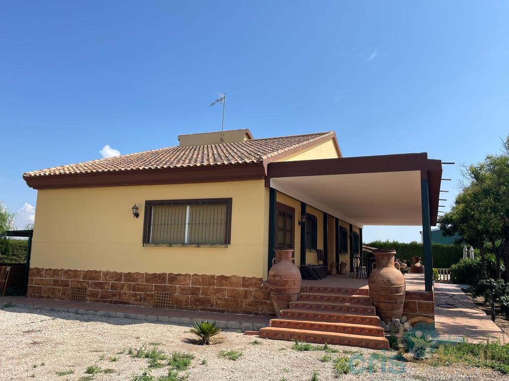For sale of house in Lorca