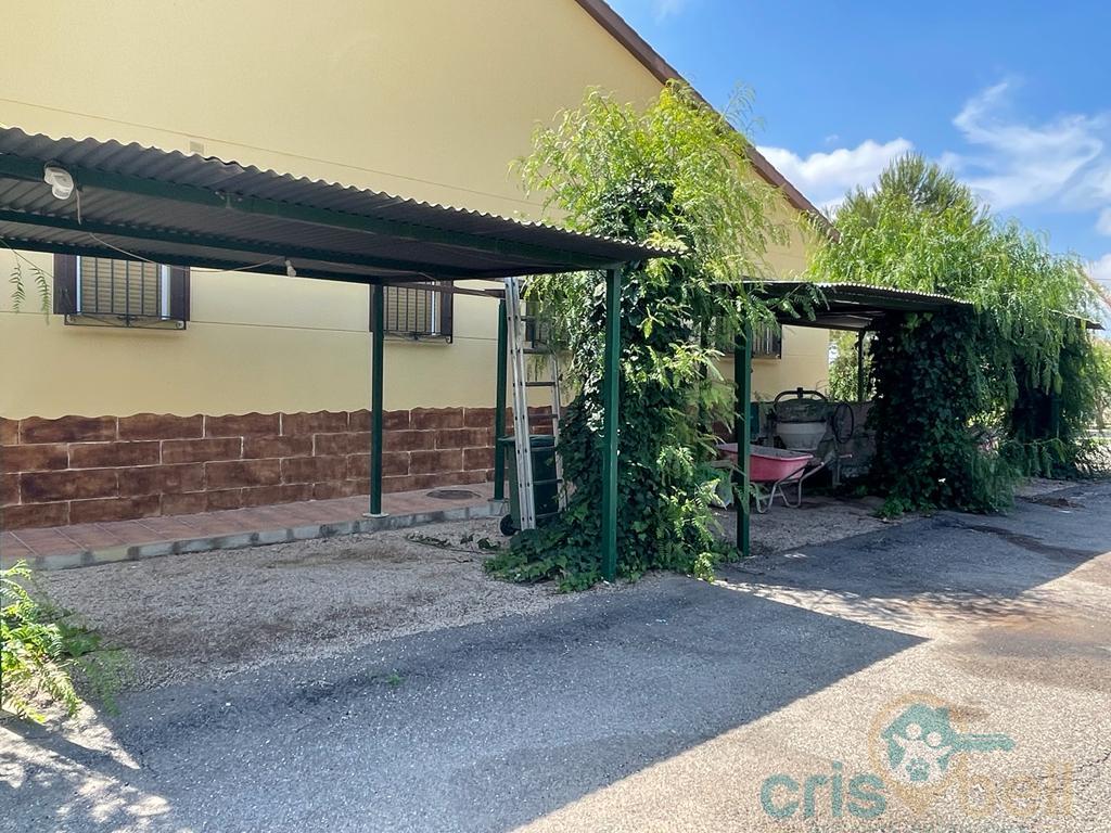 For sale of house in Lorca