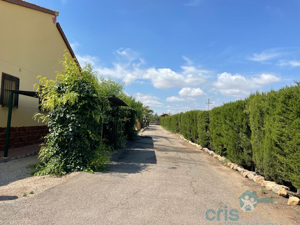 For sale of house in Lorca
