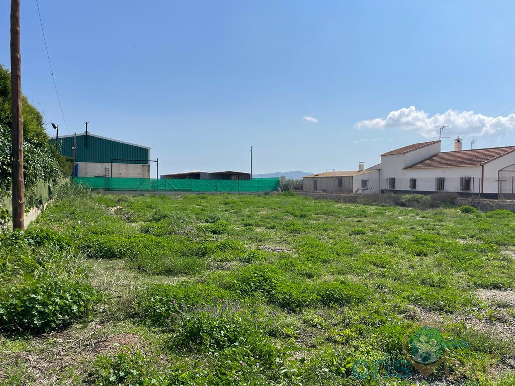 For sale of house in Lorca