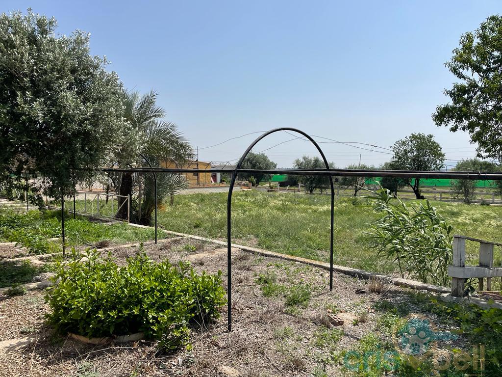 For sale of house in Lorca