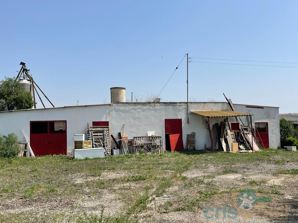 For sale of house in Lorca