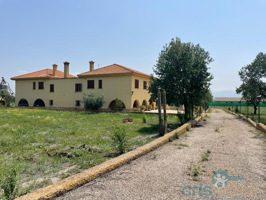 For sale of house in Lorca