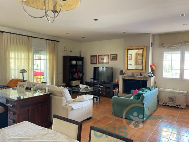 For sale of house in Lorca