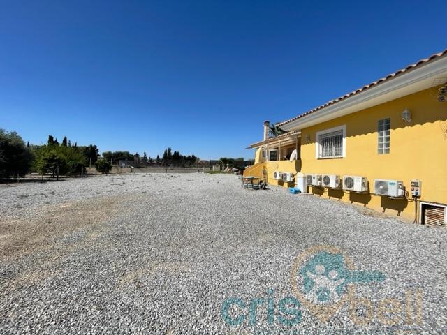 For sale of house in Lorca