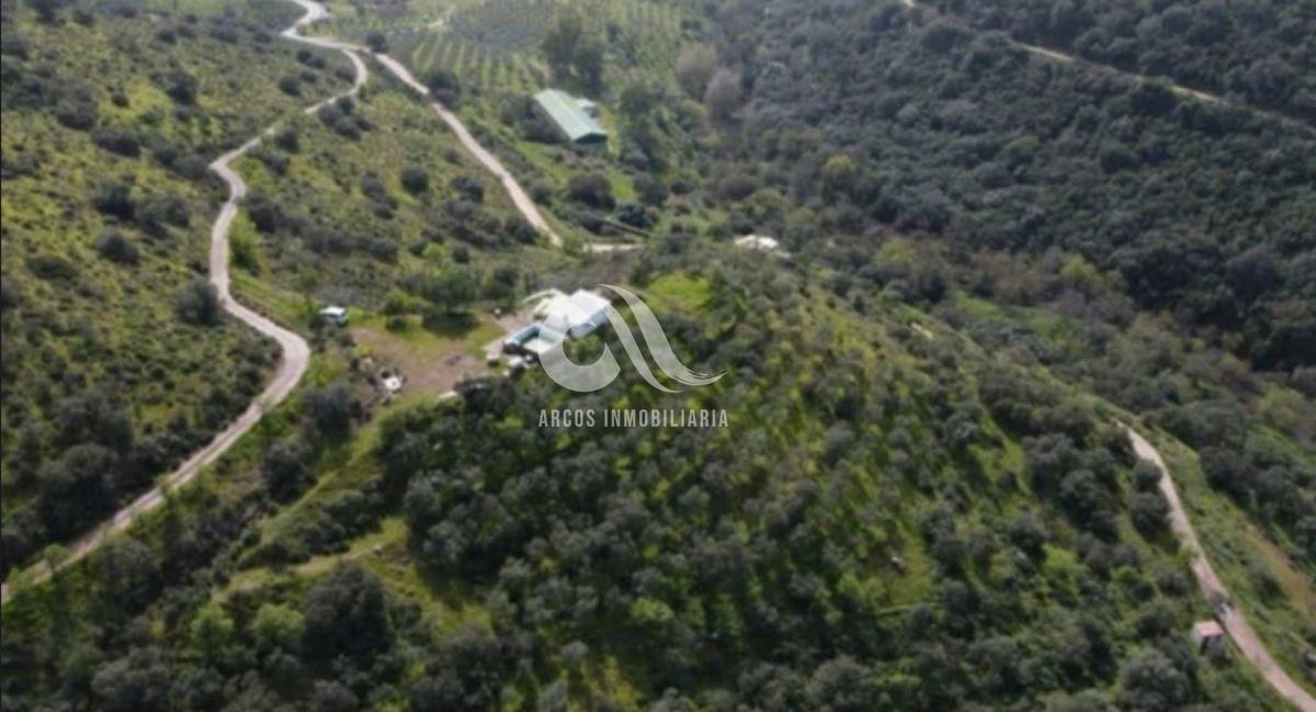 Venta de finca rústica en Córdoba