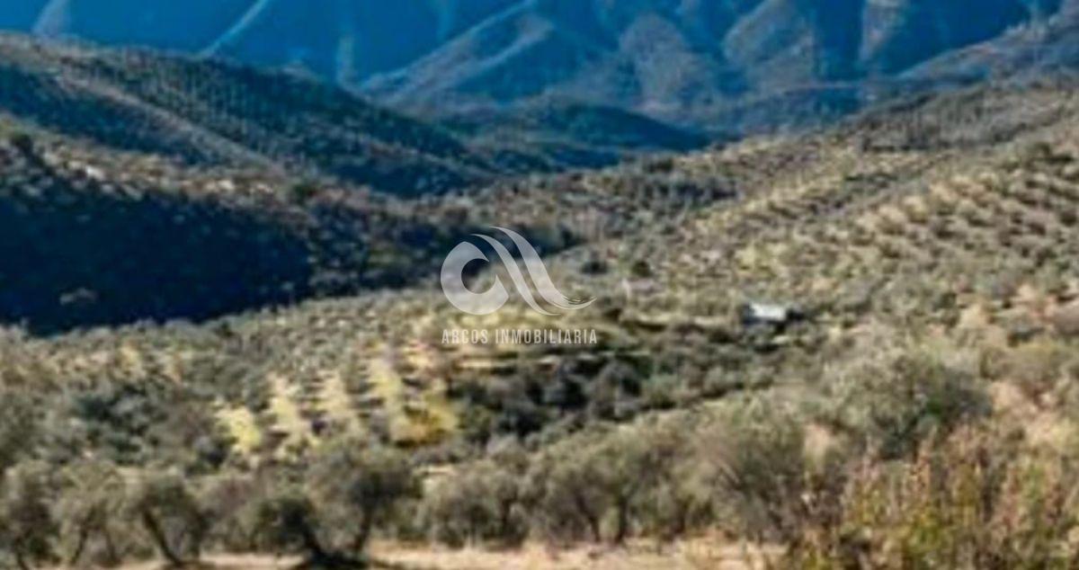 For sale of rural property in La Carlota