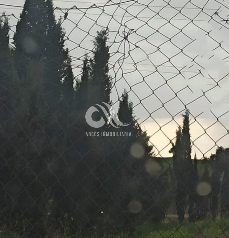 For sale of land in Córdoba