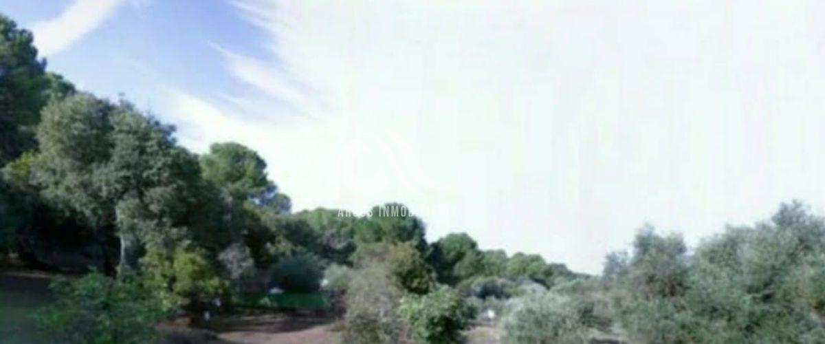 For sale of land in Córdoba