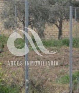 For sale of land in Montemayor