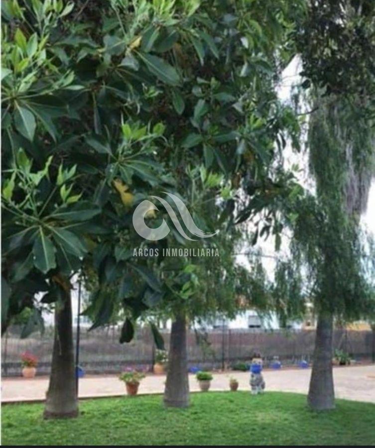 For sale of land in Córdoba