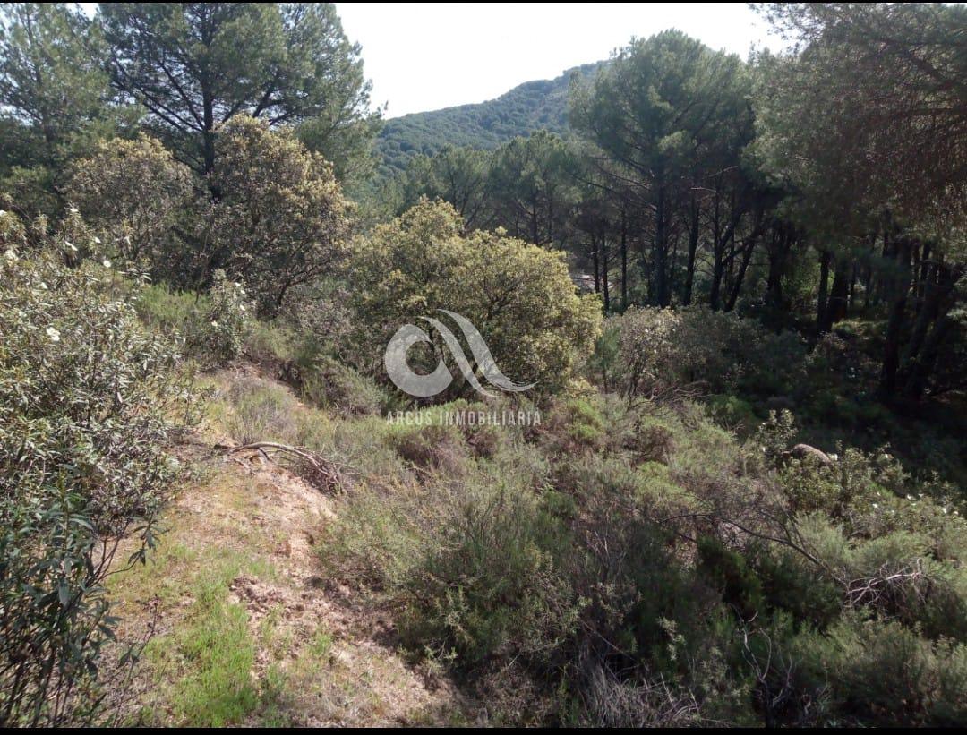 For sale of land in Córdoba