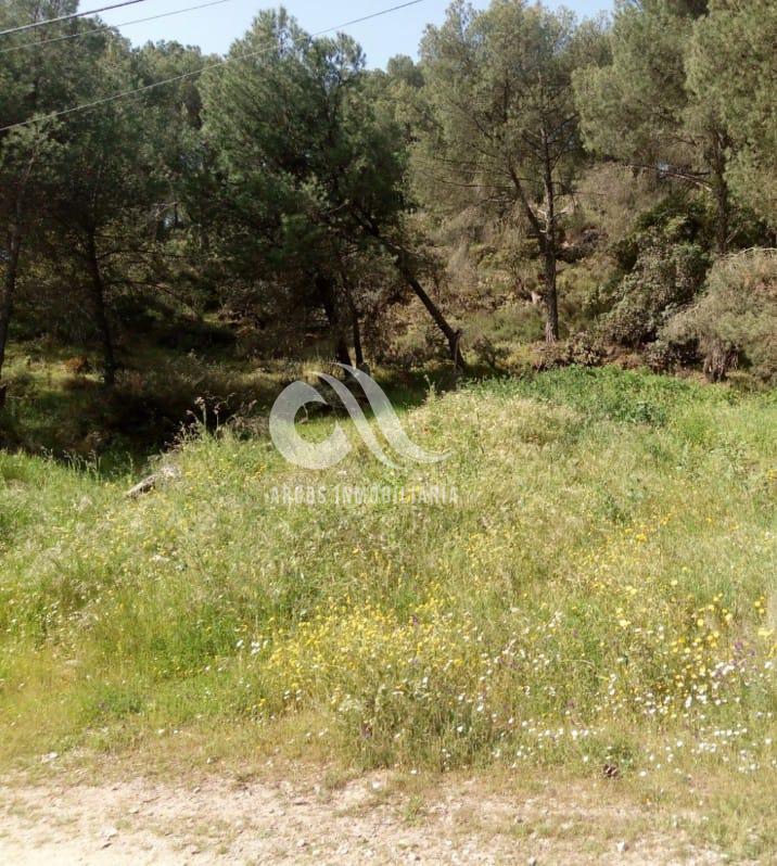 For sale of land in Córdoba