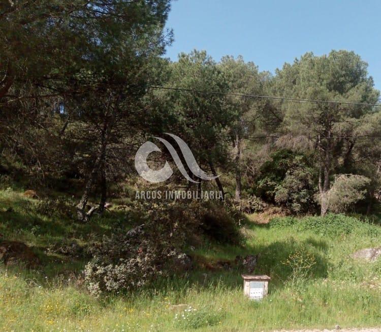 For sale of land in Córdoba